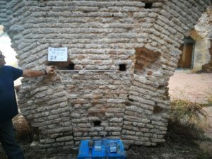 Ensayo de gatos planos en las Atarazanas de Sevilla