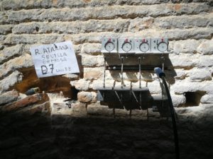 Ensayo de gatos planos en las Atarazanas de Sevilla